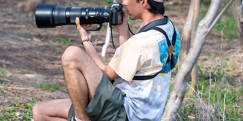 Birding in Chicagoland: How to Experience and Save our Feathered Friends