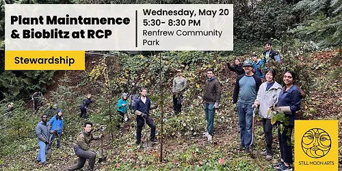 Plant Maintenance & Bioblitz at Renfrew Community Park