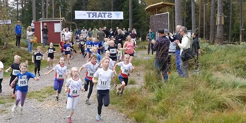 Gimlel\u00f8pet 2026 