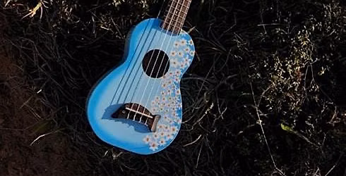 Free session for children to come and learn to play the Ukelele