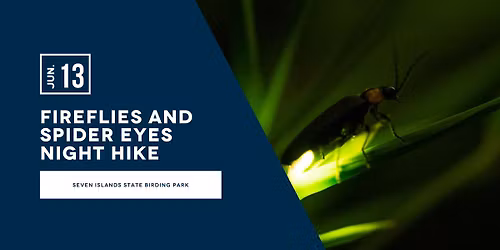 Fireflies and Spider Eyes Night Hike