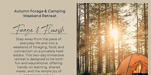 3rd to 4th Oct 2026: Autumn Forage & Camping Weekend Retreat