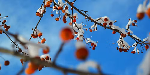 GSA Choir Christmas Concert (matinee)