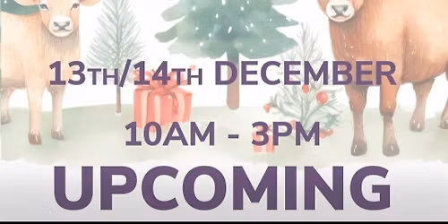 The Market at Solsgirth Home Farm 