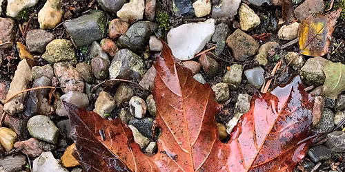 Herr, es ist Zeit - Herbstkonzert in der Gro\u00dfsolter Kirche mit Orgel und Cello
