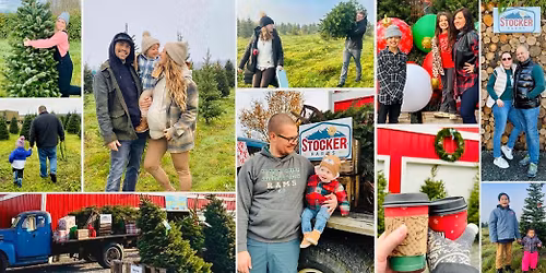 Christmas Trees at Stocker Farms!