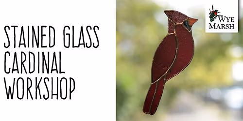 Stained Glass Cardinal Workshop