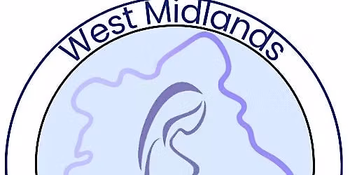 Maternal Medicine for Midwives and Paramedics