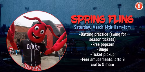 Charleston RiverDogs vs. Hickory Crawdads