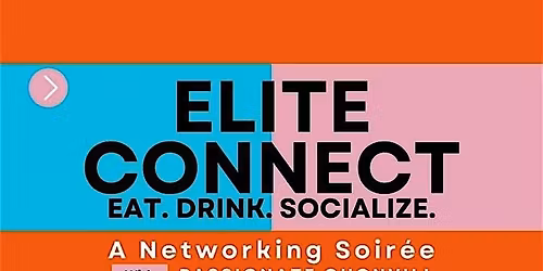 Elite Connect: A Networking Soir\u00e9e