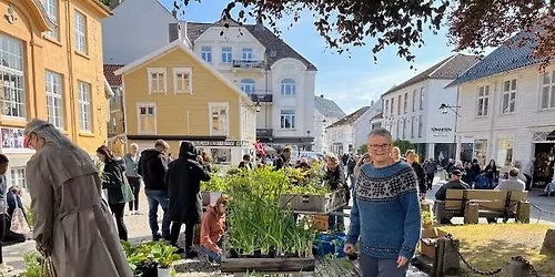 Planteloppemarked - Mandal torv