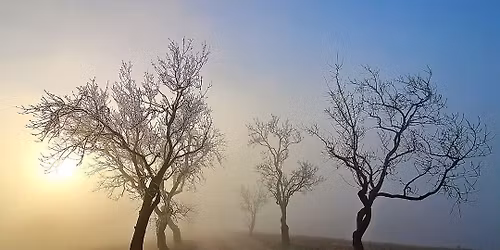 Superv\u00edzny de\u0148 pre superv\u00edzorov a mentorov