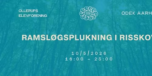 Ramsl\u00f8gsplukning i Risskov