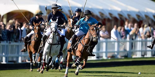 Palm Beach Polo