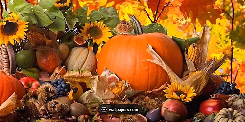 WelbeHealth - Riverside Senior Saturday - Bring Your Clients!