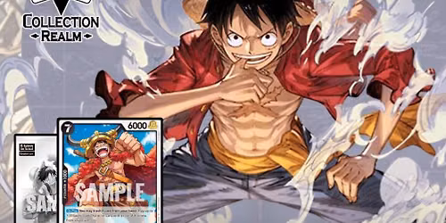 One Piece Pirate Party