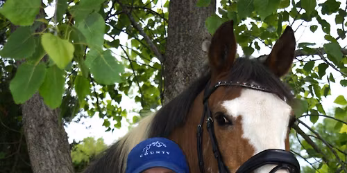 Saddle Fittings & Test Rides - Baldwinsville, NY