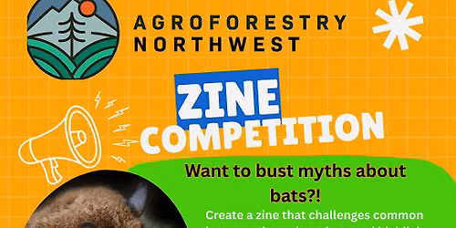 Zine Competition - Busting Myths About Bats