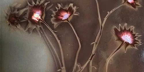 Urban Lumen, Cameraless Photography Workshop