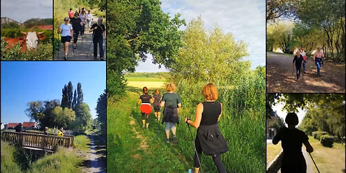 Marche nordique ou marche active (sans b\u00e2tons)