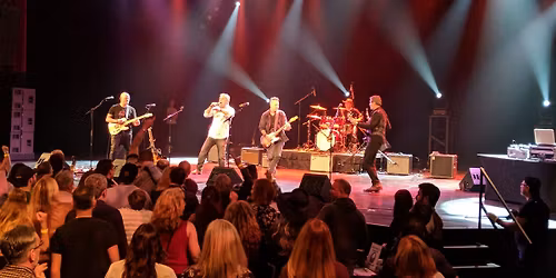 Renegade at Newlands