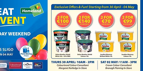 GREAT PAINT EVENT - Homeland Plus Sligo