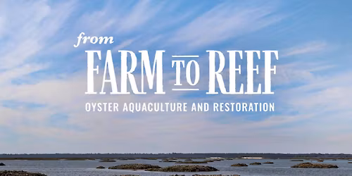From Farm to Reef: Oyster Aquaculture and Restoration