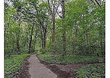 Guided Meditative Walk and Earthing