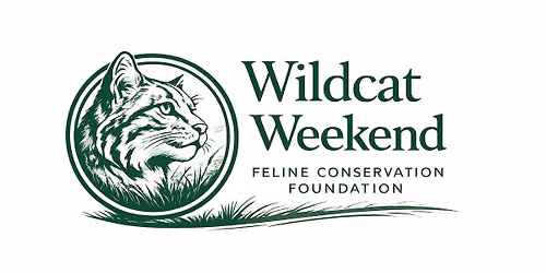 Wild Cat Weekend