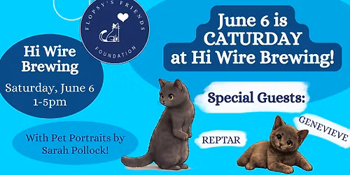 Caturday at Hi Wire Brewing!