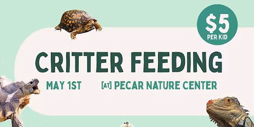 Critter Feeding @ Pecar Nature Center