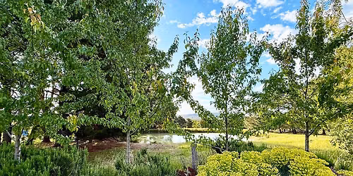Open Gardens Victoria: La Colline, Harcourt North