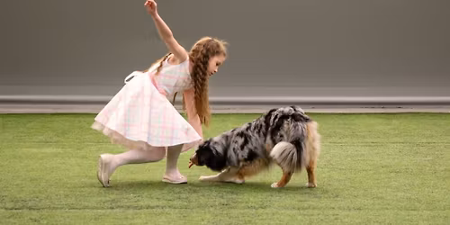 Let's dance! Dobbeltstevne i kreativ lydighet