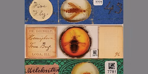 New Exhibit Opening December 12: Making the Invisible Visible