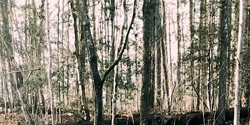 January Kid Friendly Hike Meet Up