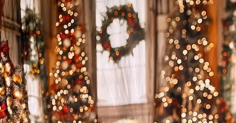 GRRNT Holiday Photos @ BarkNFetch Frisco