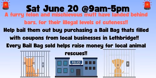 Jail & Bail Fundraiser!