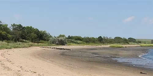 Canarsie Park Clean Up