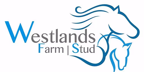 Dressage at Westlands
