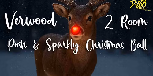 Verwood DYD 2 Room Posh & Sparkly Christmas Ball