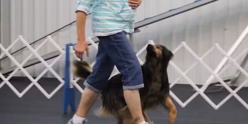 AKC Obedience Trials sponsored by BDTA