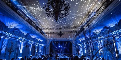 The Starfall Celebration