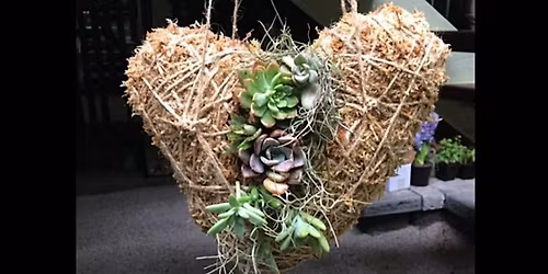 Valentine love heart Kokedama workshop