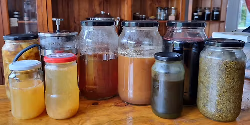 WATER EXTRACTS- Herbal Medicine Making Series- NIMBIN