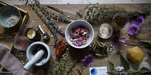 COMPLET \/ Atelier d'herboristerie - \u00c0 la d\u00e9couverte des tisanes