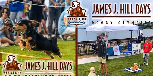 Dachshund Races and Doggy Olympics!