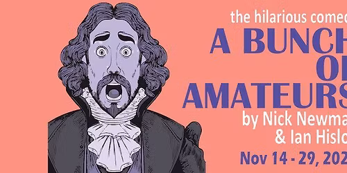 A Bunch of Amateurs  by Nick Newman & Ian Hislop