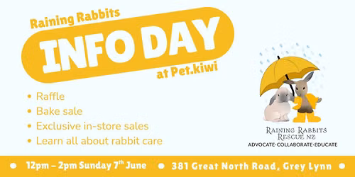 Raining Rabbits Information Day at Pet.kiwi!