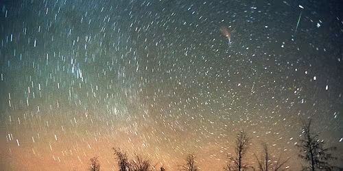 Leonids Stargazing at the Farm