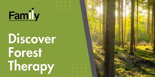 Forest Therapy Nature Experience